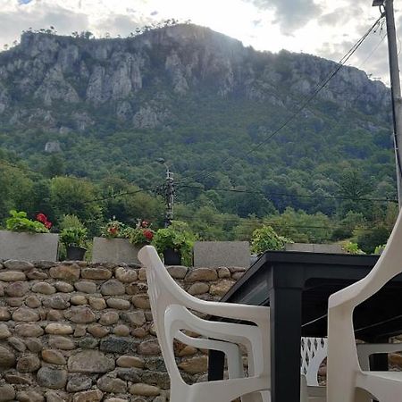 Casa Narcisa Hotell Băile Herculane Exteriör bild